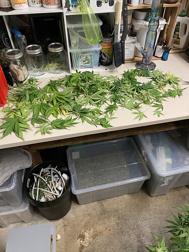 Growreport Bild 85