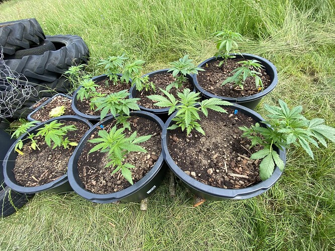Growreport Bild 24