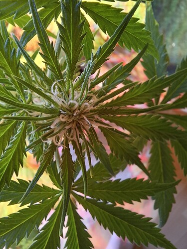 Growreport Bild 2