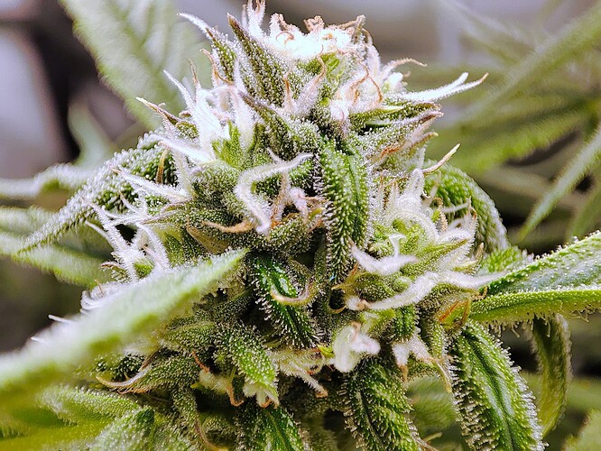 Growreport Bild 21