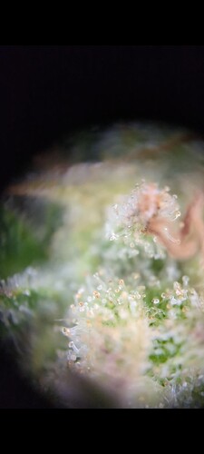 Screenshot_20240805-222421