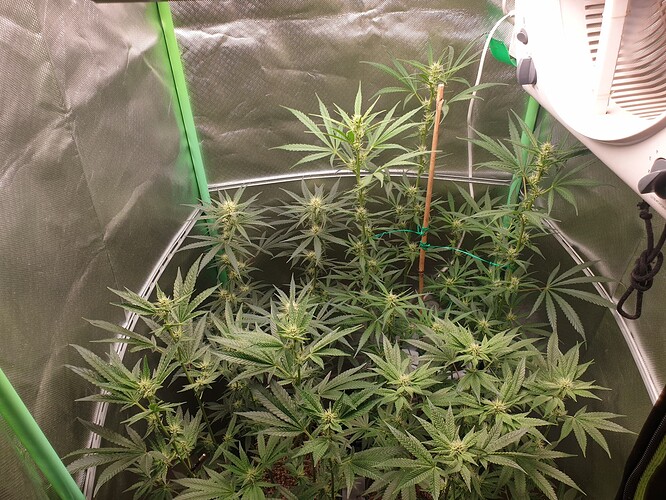 Growreport Bild 1