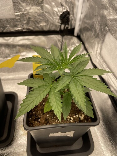 Growreport Bild 9
