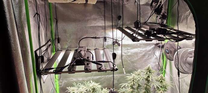 Growreport Bild 3