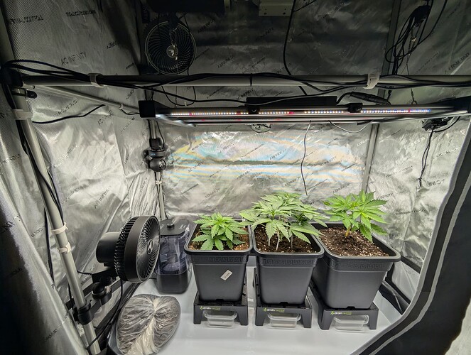 Growreport Bild 4