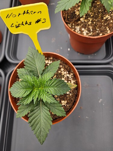 Growreport Bild 18