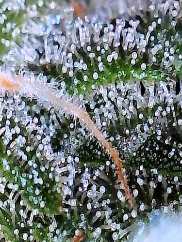 2024-12-03-22-08-00-196