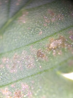 Growreport Bild 10