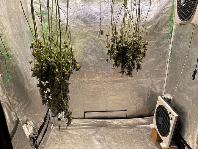 Growreport Bild 1