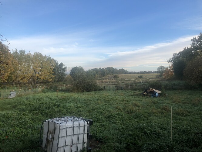 Growreport Bild 1