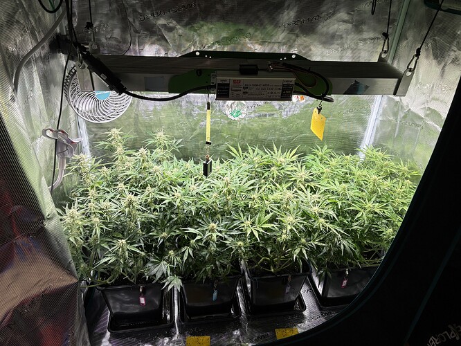 Growreport Bild 2
