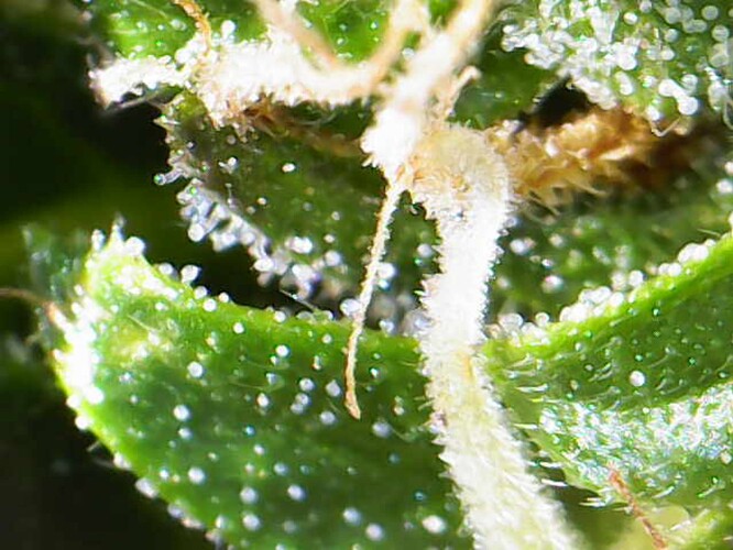 Photo_2024-06-09 10_48_24_643