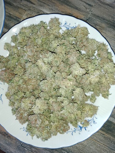 IMG_20240810_194336_221