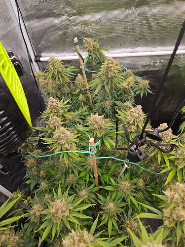 Growreport Bild 26