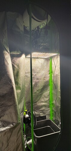 IMG_20240314_141705049_HDR~2