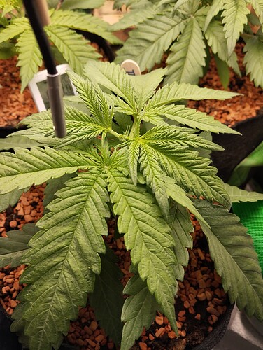 Growreport Bild 12