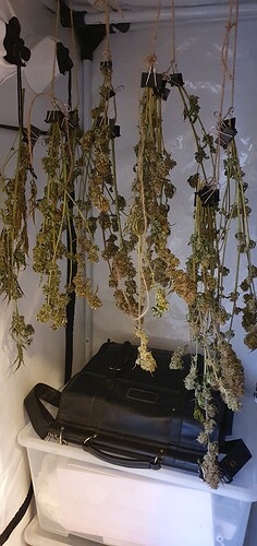 Growreport Bild 4