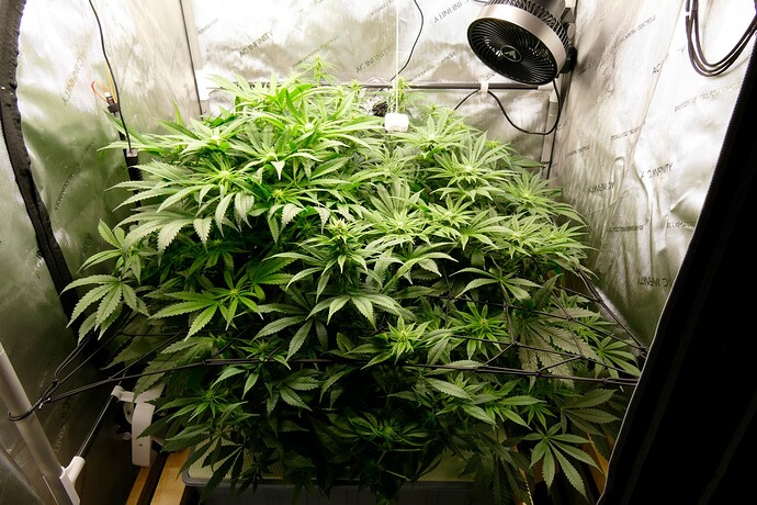 Übersicht_vorne_VT61BT14