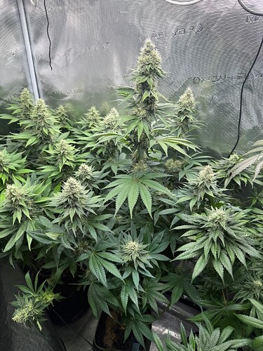 Growreport Bild 14