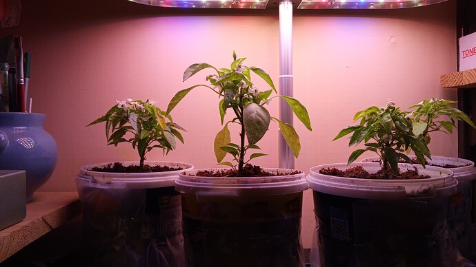 Growreport Bild 14