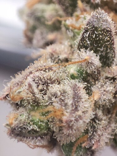 Growreport Bild 14