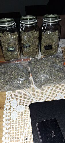 Growreport Bild 61