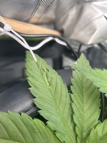 Growreport Bild 11