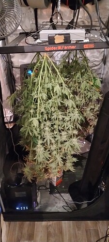 Growreport Bild 10