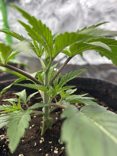 Growreport Bild 10