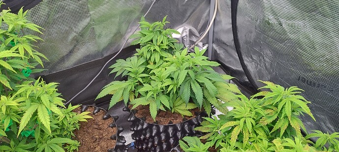 IMG_20251022_094623692_HDR