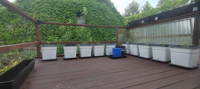 Growreport Bild 8