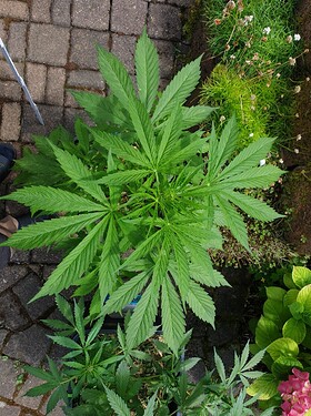 sticky_VT38 oben