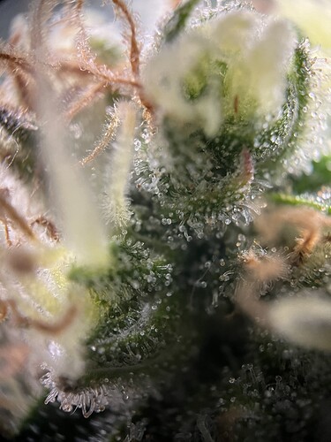 Growreport Bild 18