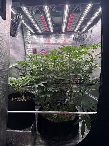 Growreport Bild 18