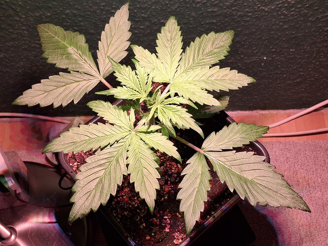 Growreport Bild 12