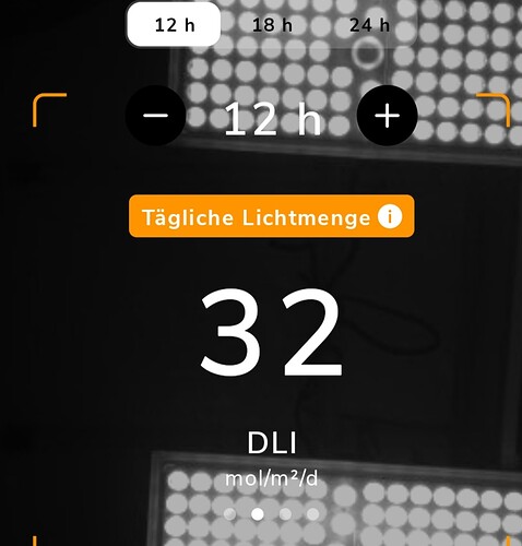 Growreport Bild 4