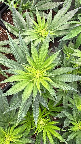 Growreport Bild 8