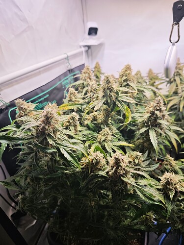 MVIMG_20251121_193050