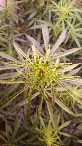 Growreport Bild 12