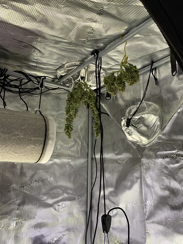 Growreport Bild 60