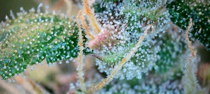 Screenshot_20240704_140022_Gallery