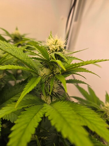 Growreport Bild 11