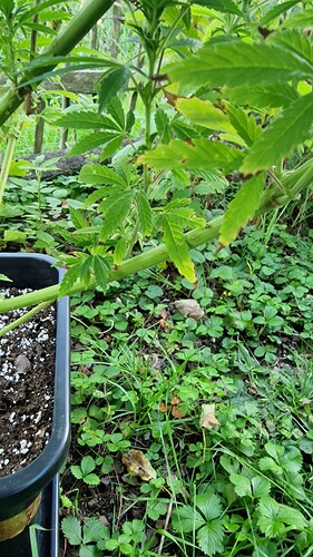 Growreport Bild 21
