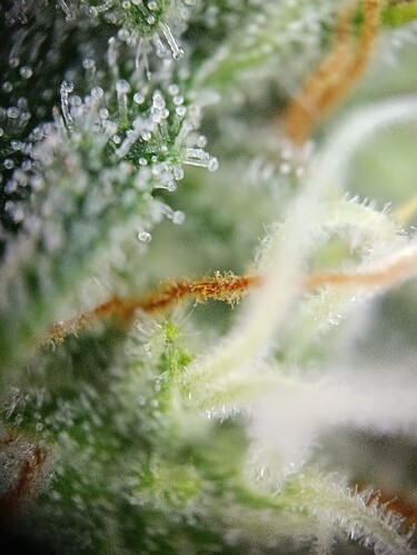 Growreport Bild 14