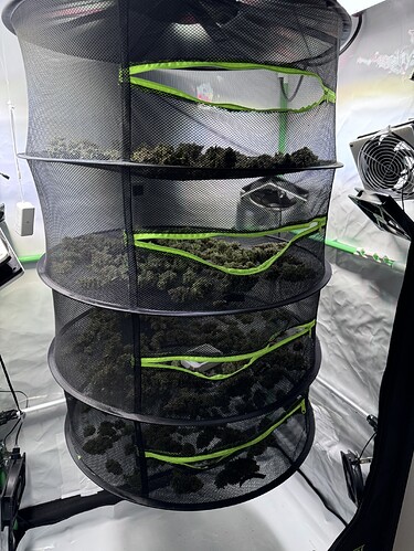 Growreport Bild 28