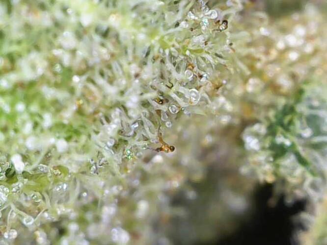 Growreport Bild 10