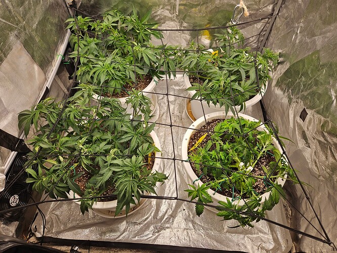 Growreport Bild 2
