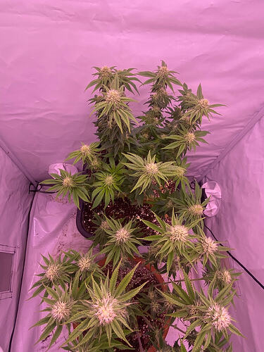 Growreport Bild 16