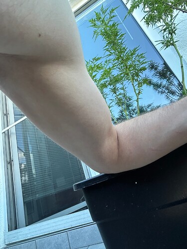 Growreport Bild 4