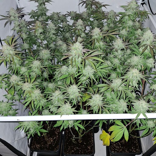 Growreport Bild 14